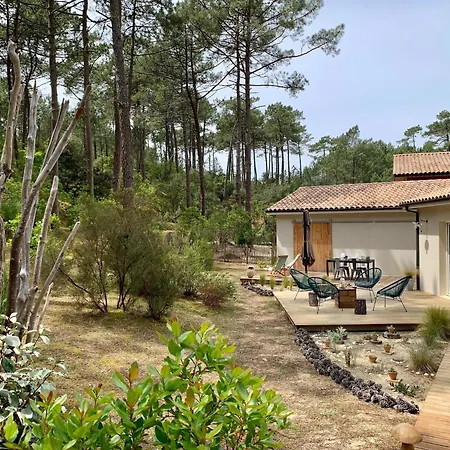 Chic Retreat By The Dunes Σπίτι διακοπών Carcans