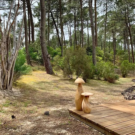 Nyaraló Chic Retreat By The Dunes