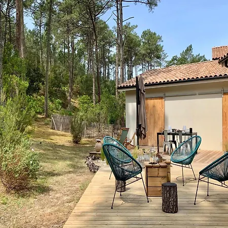 Chic Retreat By The Dunes Nyaraló *