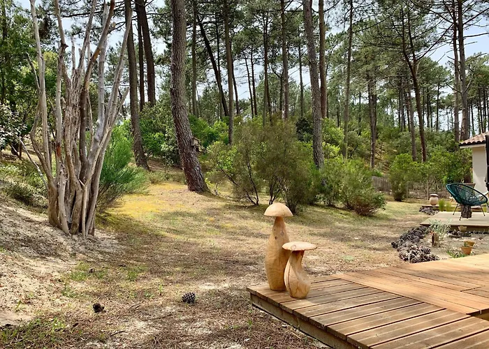 Сasa de vacaciones Chic Retreat By The Dunes